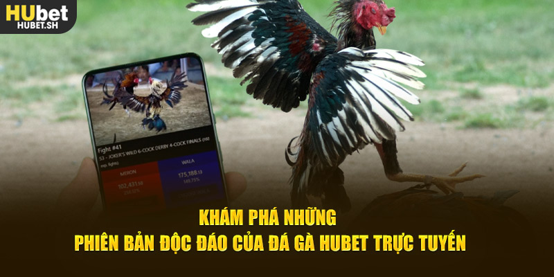 Khám phá những phiên bản độc đáo của đá gà HUBET trực tuyến